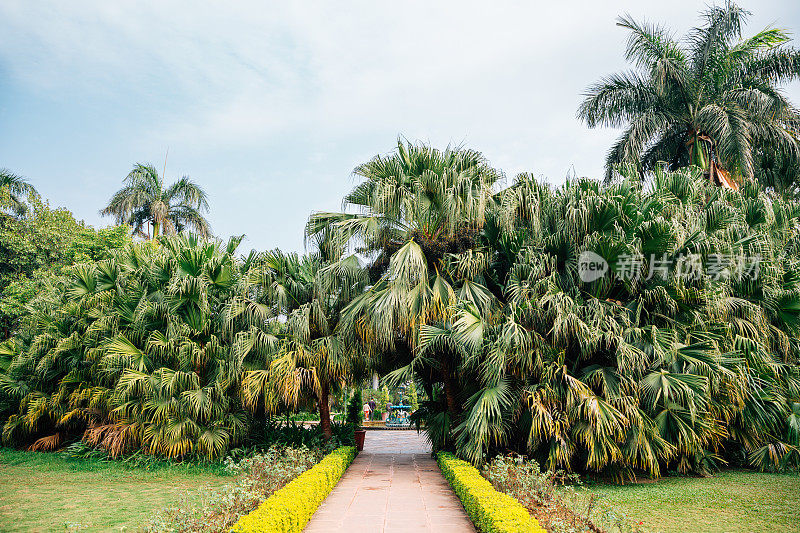 Saheliyon Ki Bari(少女花园)在乌代普尔，印度